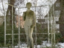 Venus